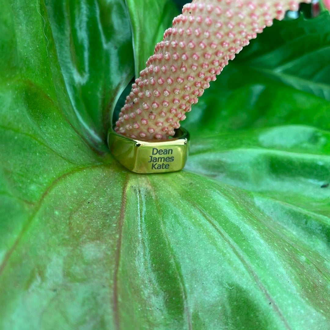Gepersonaliseerde zegel ring