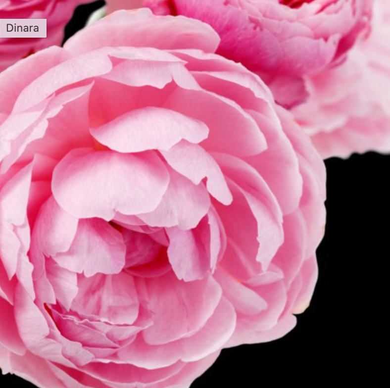 Dinara-wij vinden hem ruiken naar- teint de neige