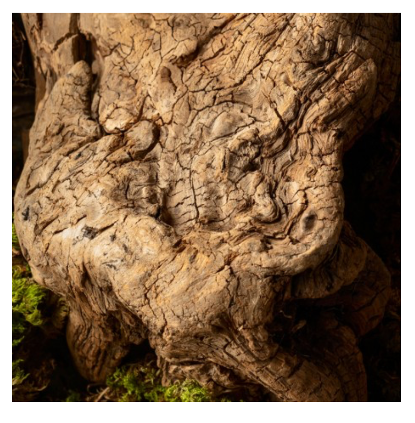 NYA - wij vinden hem ruiken - ANGELS SHARE