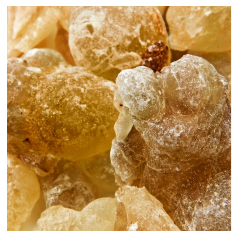 AMBRAX - wij vinden hem ruiken naar - OMBRE NOMADE