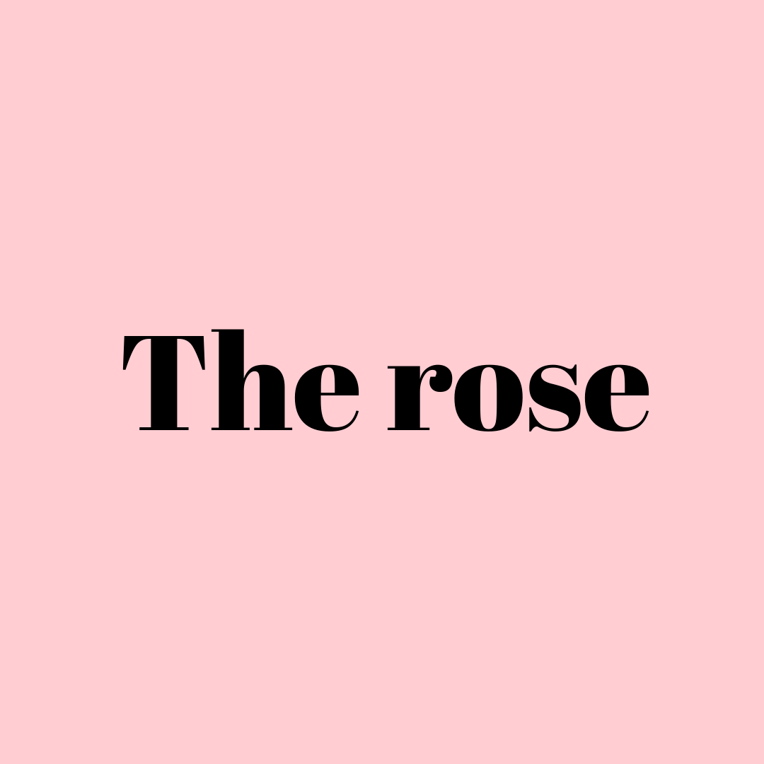 The rose (wij vinden hem ruiken naar roses de chloe)