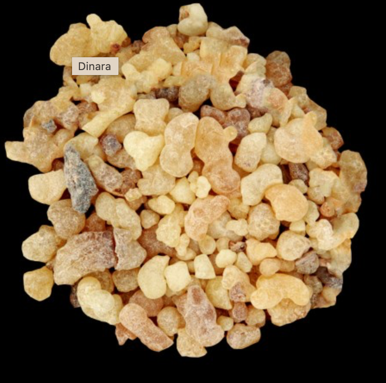 Dinara-wij vinden hem ruiken naar- teint de neige