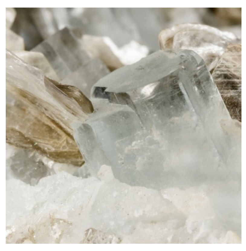 TAYDA - wij vinden hem ruiken naar- TILA