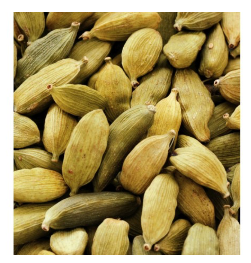 WHITE SUMMER - wij vinden hem ruiken naar- TORINO 21