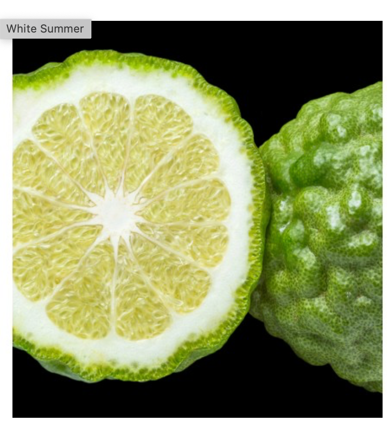 WHITE SUMMER - wij vinden hem ruiken naar- TORINO 21