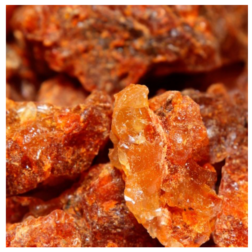 AMBRAX - wij vinden hem ruiken naar - OMBRE NOMADE